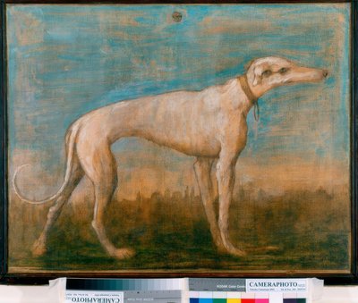 Greyhound by Giovanni Battista Tiepolo